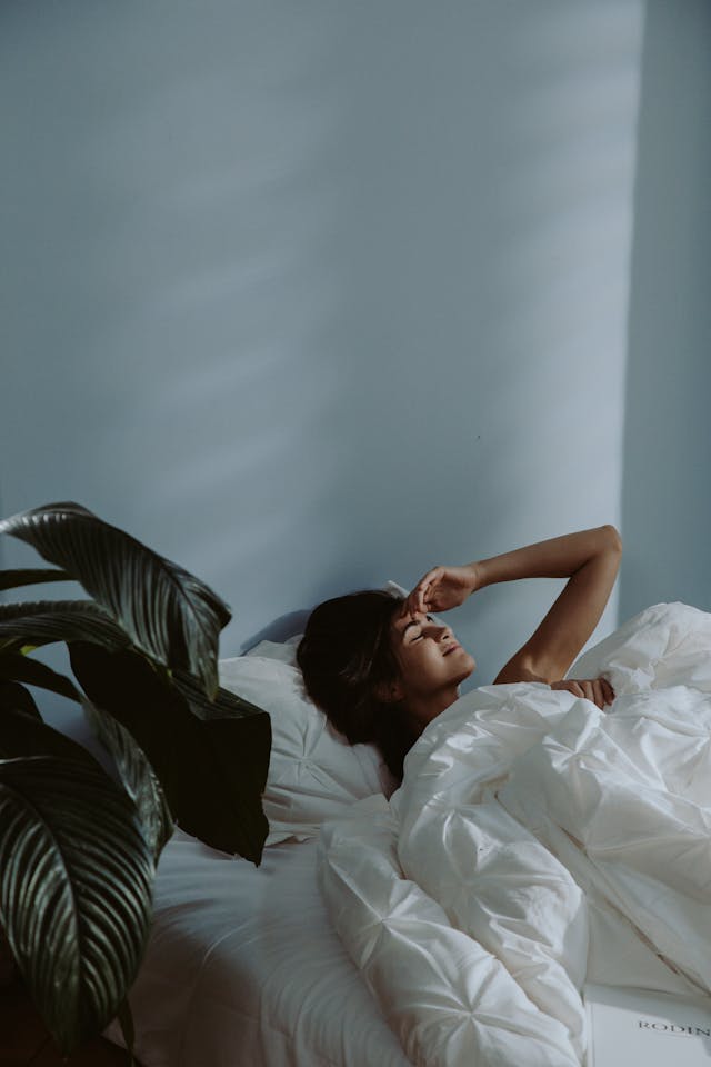 Relvornatia calm path